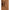 Max Mara Abete long Vest Max Mara