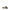 Miu Miu Leather Ballerinas Miu Miu