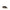 Golden Goose Super Star Sneakers Golden Goose