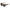 Jimmy Choo Brown Acetate Sunglasses Jimmy Choo