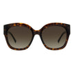 Jimmy Choo Brown Acetate Sunglasses Jimmy Choo