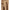 Max Mara Rialto Coat Max Mara