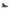 Dr. Martens Black Polyester Ankle Dr. Martens