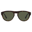 Giorgio Armani Brown Acetate Sunglasses Giorgio Armani
