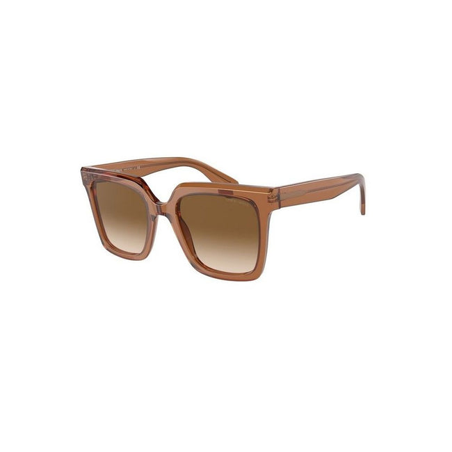 Giorgio Armani Brown Acetate Sunglasses Giorgio Armani