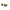 Michael Kors Brown Acetate Sunglasses Michael Kors