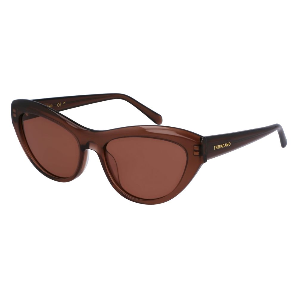 Ferragamo Brown Acetate Sunglasses Ferragamo