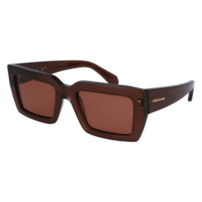 Ferragamo Brown Acetate Sunglasses Ferragamo