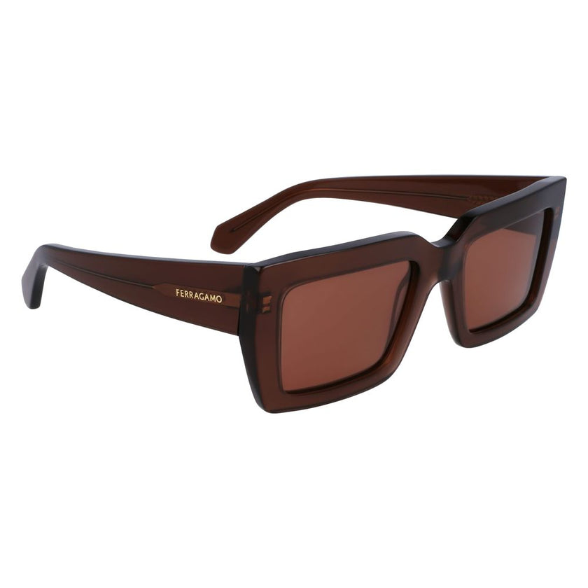 Ferragamo Brown Acetate Sunglasses Ferragamo
