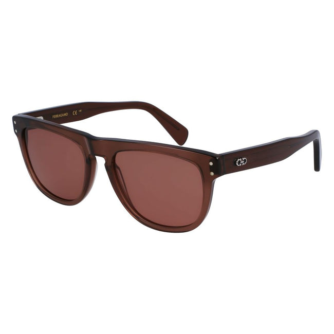 Ferragamo Brown Acetate Sunglasses Ferragamo