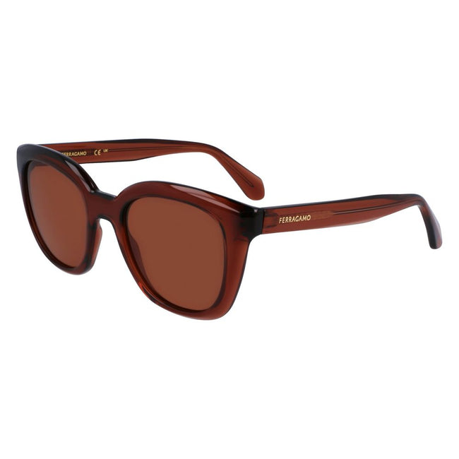 Ferragamo Brown Injected Sunglasses Ferragamo