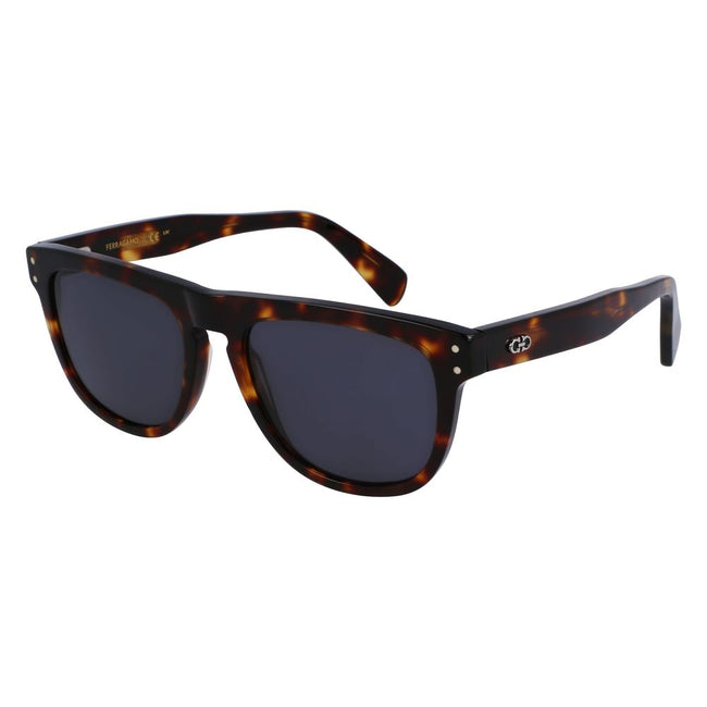 Ferragamo Brown Acetate Sunglasses Ferragamo