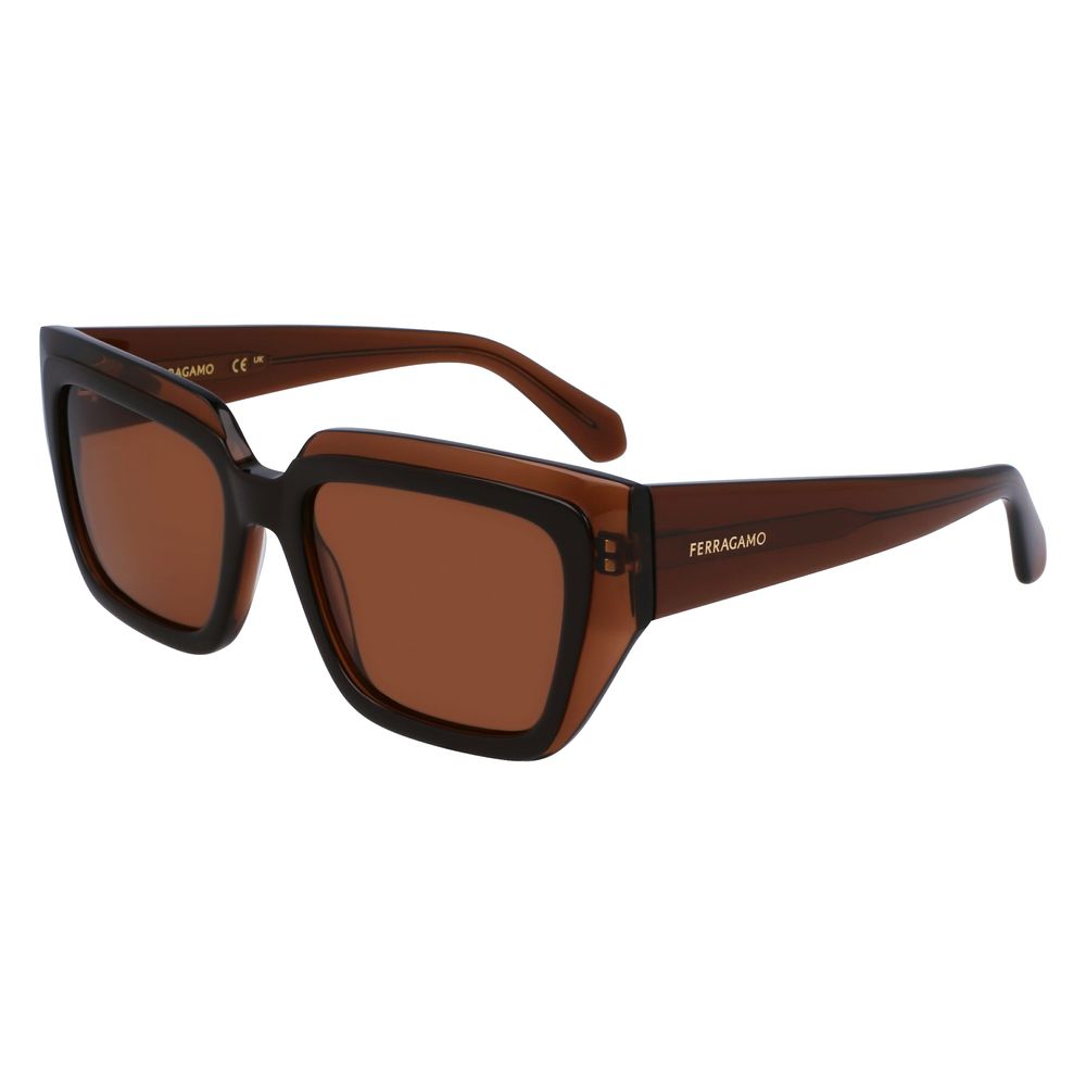 Ferragamo Brown Acetate Sunglasses Ferragamo