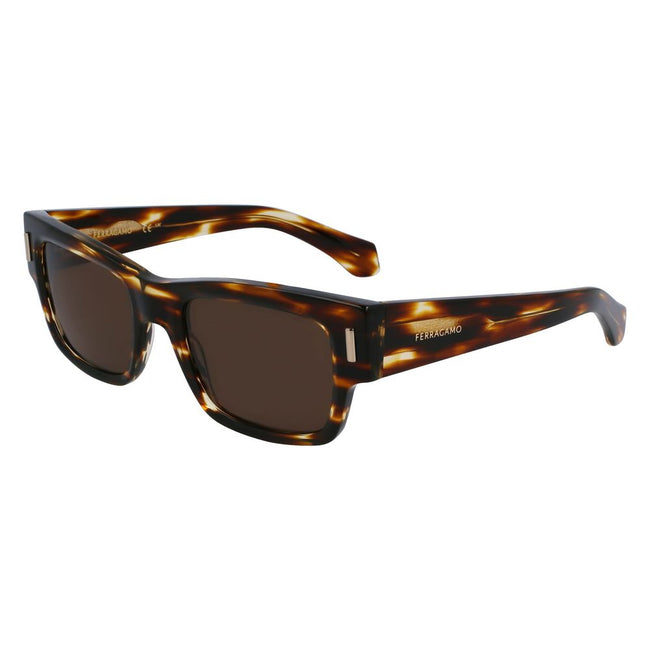 Ferragamo Brown Acetate Sunglasses Ferragamo
