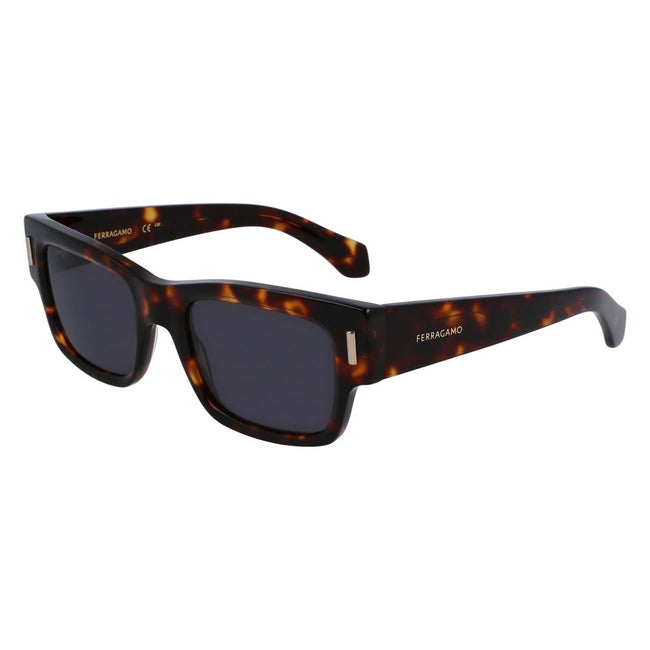 Ferragamo Brown Acetate Sunglasses Ferragamo