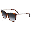 Lacoste Brown Acetate Sunglasses Lacoste