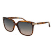 Scotch & Soda Brown Acetate Sunglasses Scotch & Soda