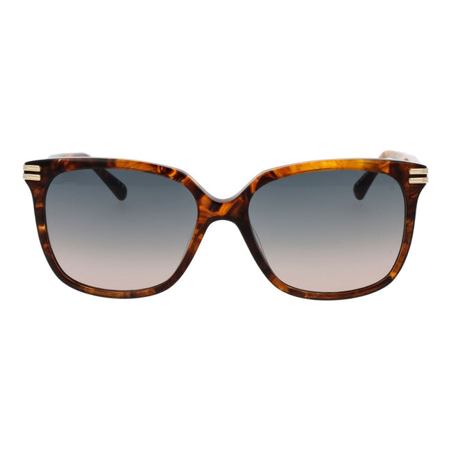 Scotch & Soda Brown Acetate Sunglasses Scotch & Soda